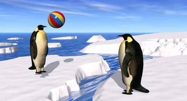 Pinguins brincando — Fotografia de Stock