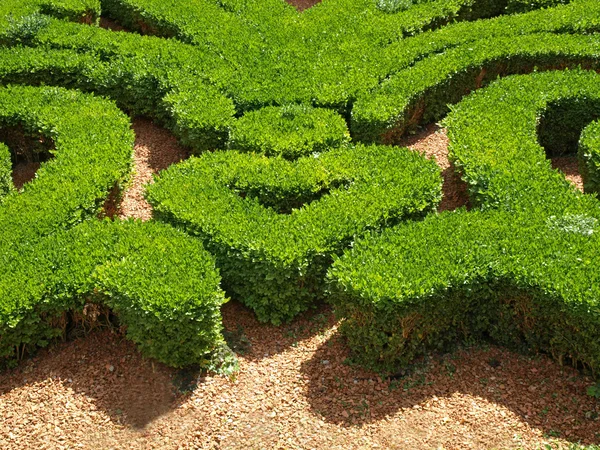 stock image Close-up of french garden