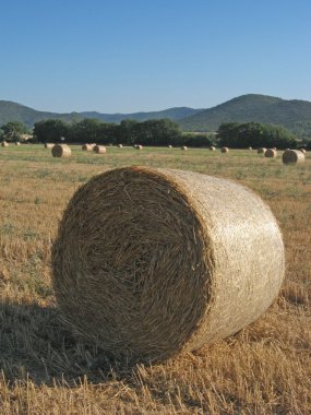 Hayrolls