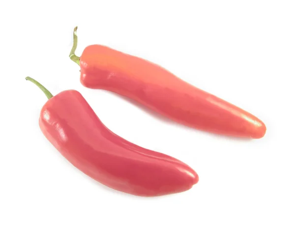 Rood hete paprika — Stockfoto