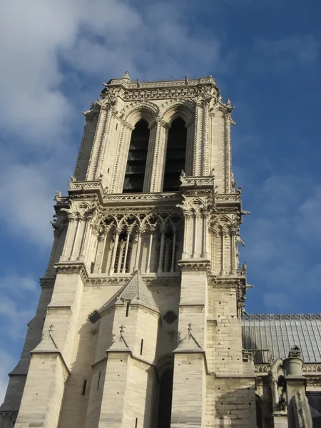 Notre-dame Katedrali Kulesi — Stok fotoğraf