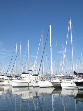 Fransız Riviera Limanı 'ndaki yatlar