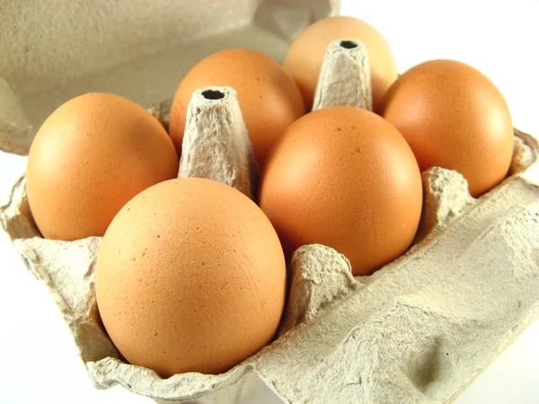 stock image Box of eggs