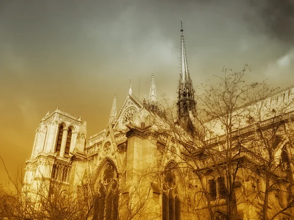 Notre-Dame Cathedral — Stock Photo, Image