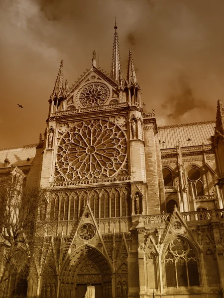 Katedra Notre-dame — Zdjęcie stockowe