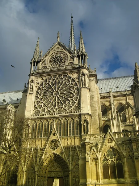 Notre-dame kathedraal in Parijs — Stockfoto
