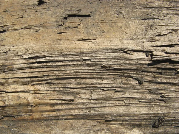Stara faktura drewna — Zdjęcie stockowe