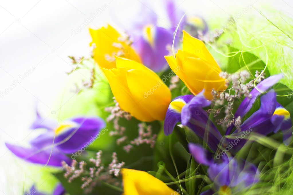 Bunch of flowers Stock Photo by ©nemesis_inc 1909987