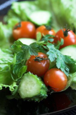 Vegetable salad clipart