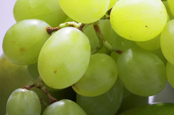 Stock image Green grapes