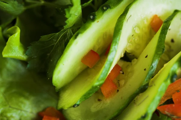 Zöldség saláta — Stock Fotó