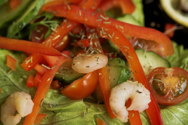 野菜サラダ — ストック写真