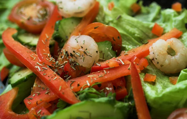 야채 샐러드 — 스톡 사진