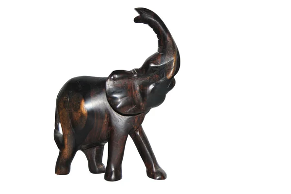 Svart elefant — Stockfoto