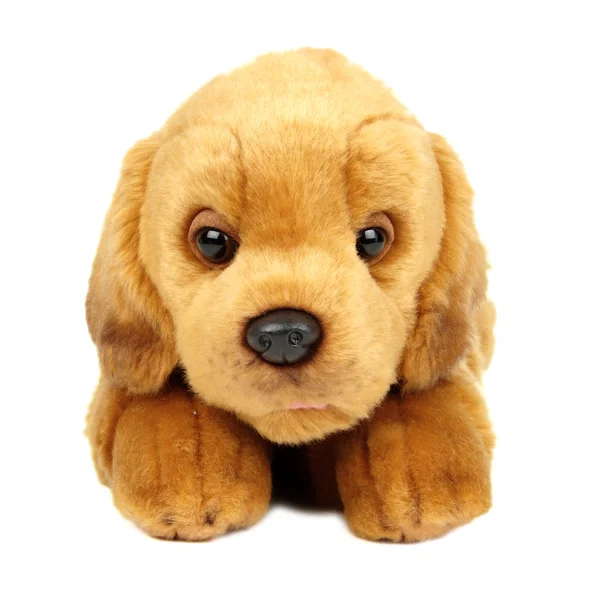 Pelúcia brinquedo cão — Fotografia de Stock