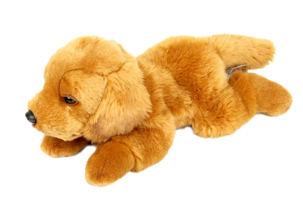 Плюшевая игрушечная собака — стоковое фото
