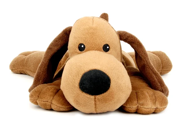 Pluche speelgoed hond — Stockfoto