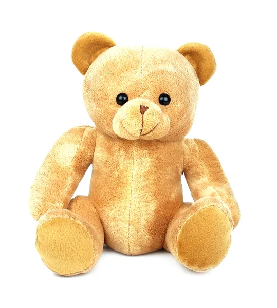 Медвежонок Тедди — стоковое фото