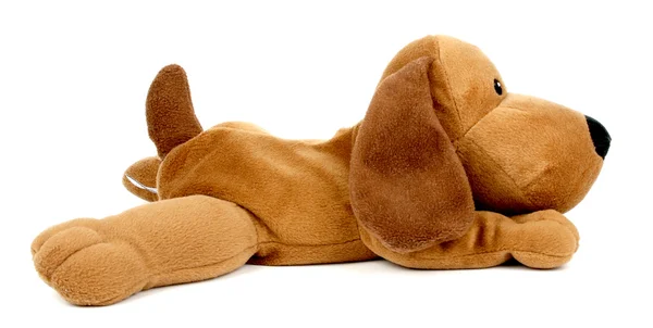 プラシ天のおもちゃの犬 — ストック写真