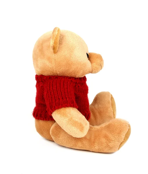 Teddy met rode trui — Stockfoto