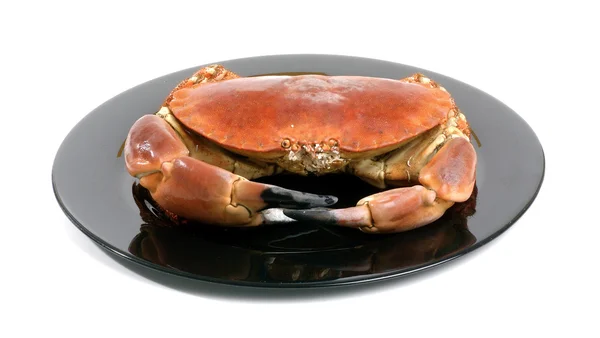 Crabe isolé sur plaque — Photo