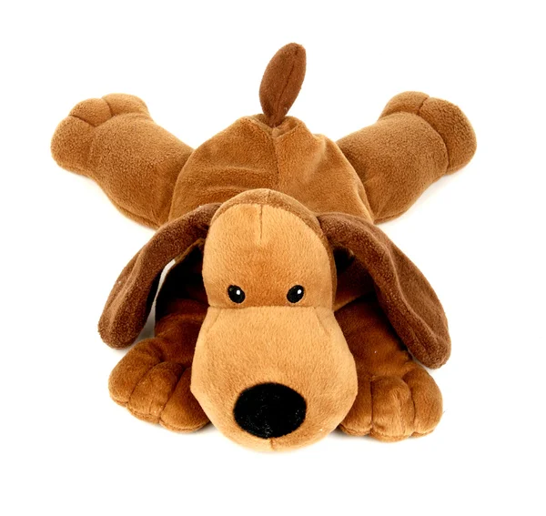 Плюшевая игрушечная собака — стоковое фото