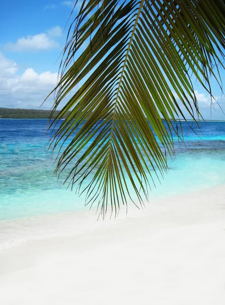 Bela praia no mar do Caribe — Fotografia de Stock