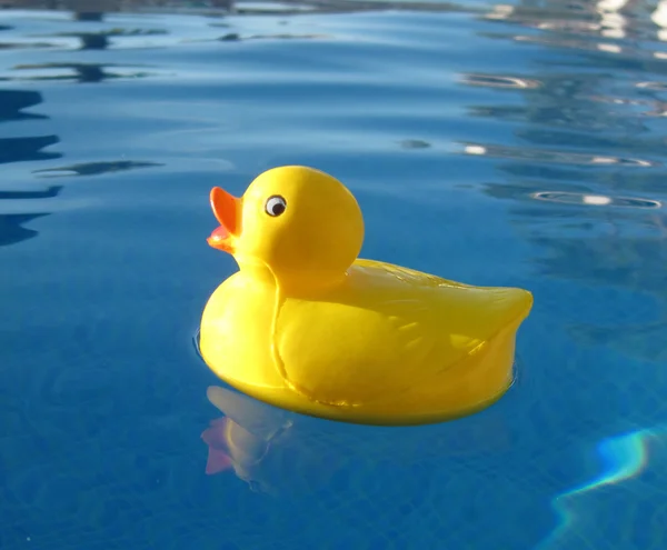 Happy rubber duck — Stock Photo, Image