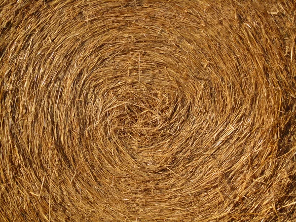 Stock image Yellow straw round bale