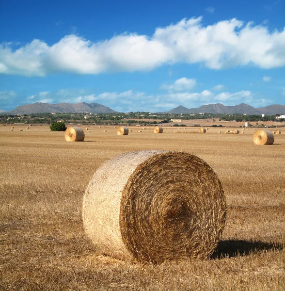 Straw bales on farmland with blue cloudy — Stock Photo, Image