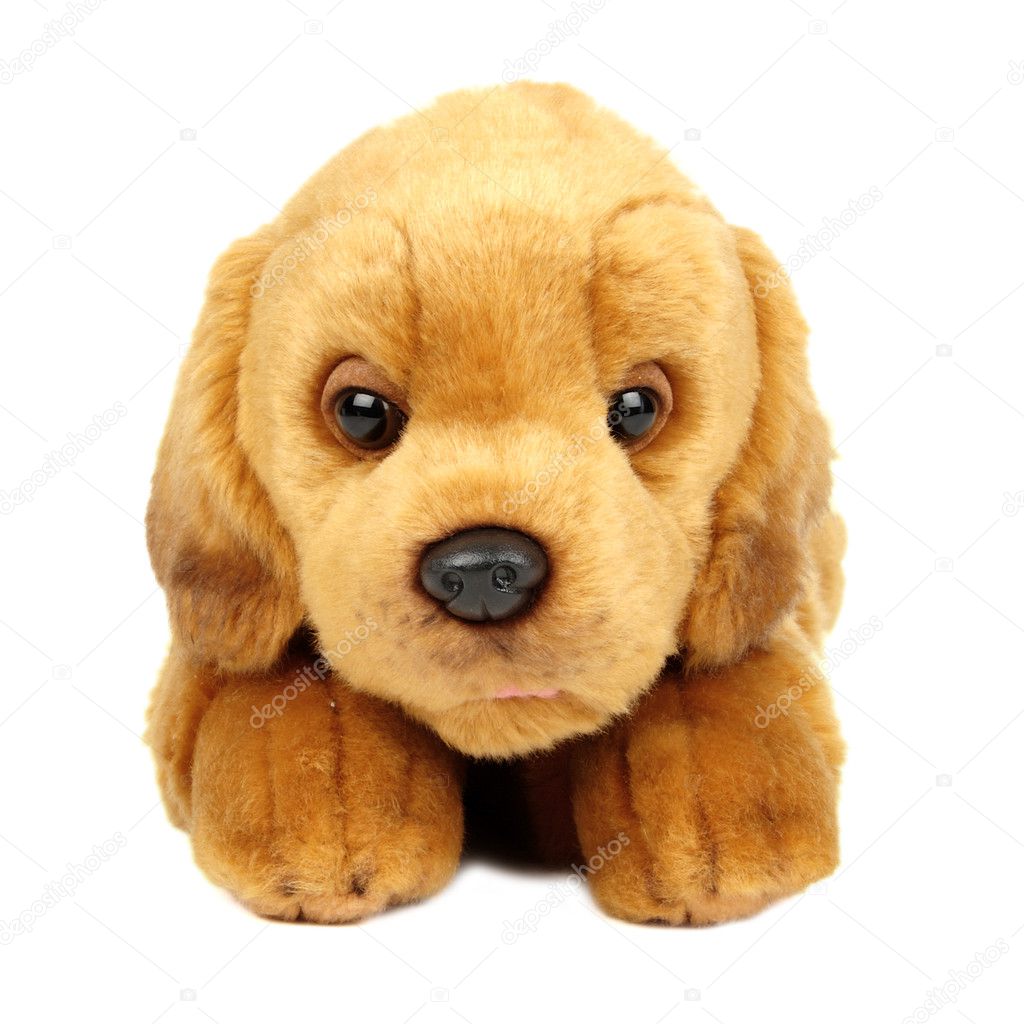 Plush toy dog — Stock Photo © gabyfotoart 1906705