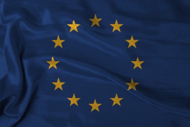Avrupa bayrağı