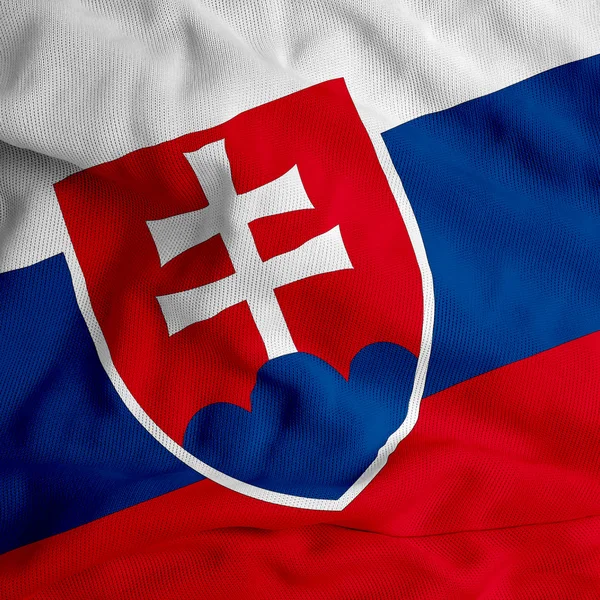 斯洛伐克国旗 — 图库照片
