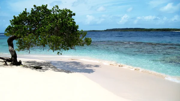 Карибського басейну пляж — стокове фото
