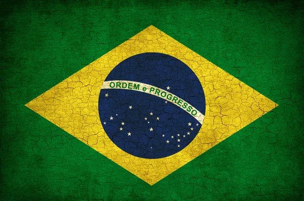 Brasilian 플래그 — 스톡 사진