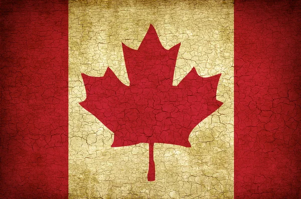 Canadian flag — Stock Photo, Image