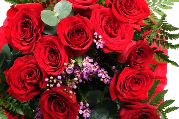 빨간 장미 배경 — 스톡 사진