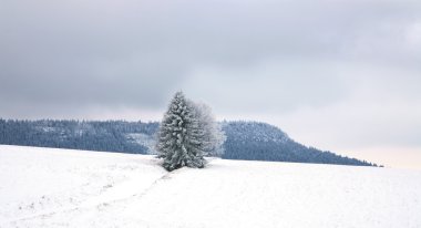 polan pasterka köyü yakınlarında manzara