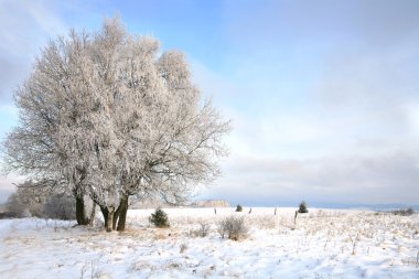 Landscape near Pasterka village in Polan clipart