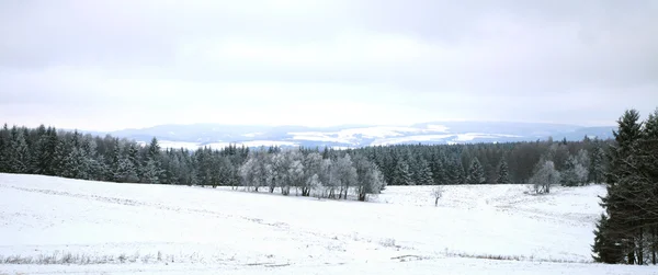Paesaggio vicino al villaggio di Pasterka in Polan — Foto Stock