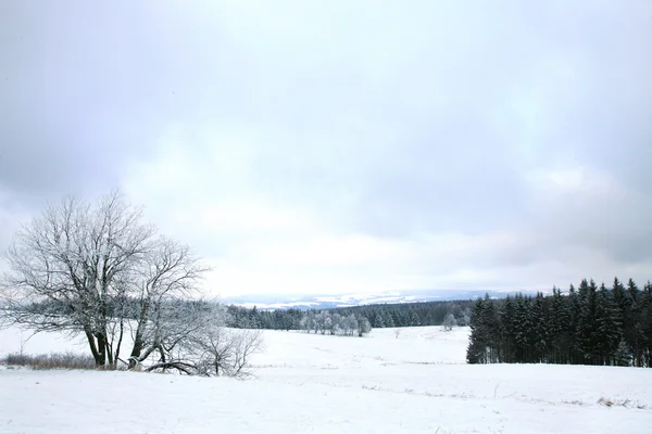 Landschap in de buurt van pasterka dorp in polan — Stockfoto