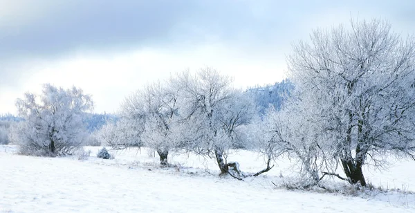 Landscape near Pasterka village in Polan — Stock Photo, Image
