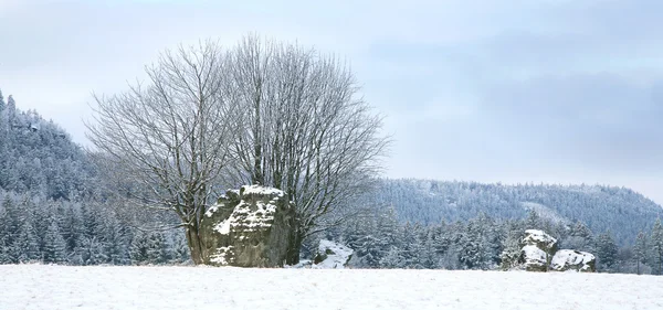 Krajobraz w pobliżu miejscowości pasterka w polan — Zdjęcie stockowe