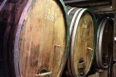 Wine barrels clipart