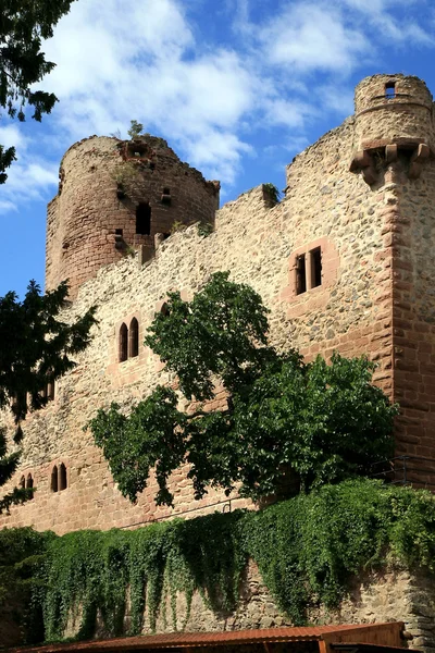 Castle in Kintzheim – Alsace, France — Stock Photo, Image