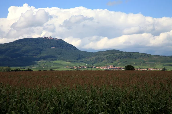 Вогес и Верхне-Кенигсбургский замок — стоковое фото