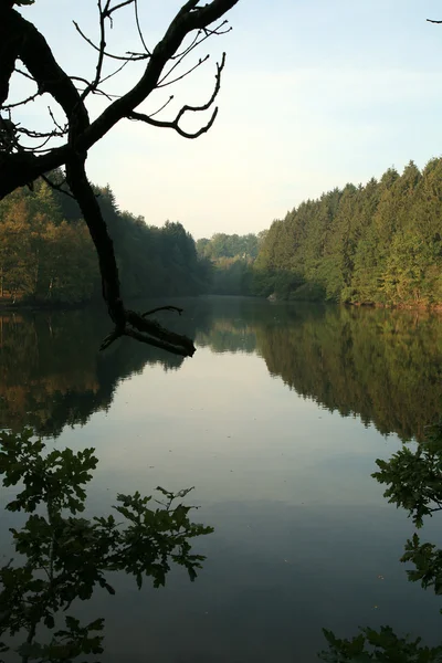 在比利时的 robertville 湖 — 图库照片