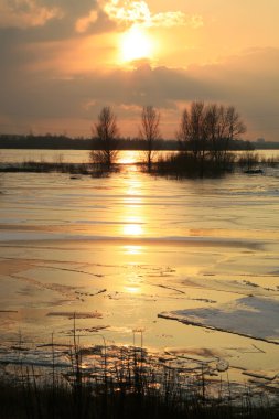 Vistula Nehri Polonya - gün batımı.