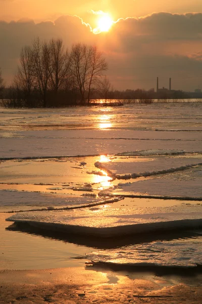 Στον ποταμό Βιστούλα στην Πολωνία - ηλιοβασίλεμα. — Φωτογραφία Αρχείου