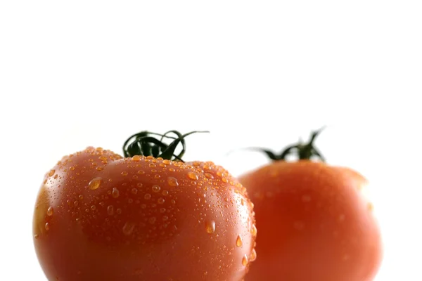 Mokre pomidory — Zdjęcie stockowe